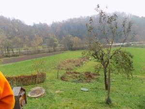 Naravna čistilna naprava